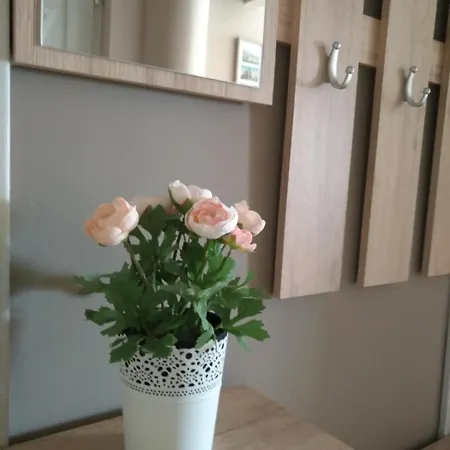 Apartament Aqua Beci